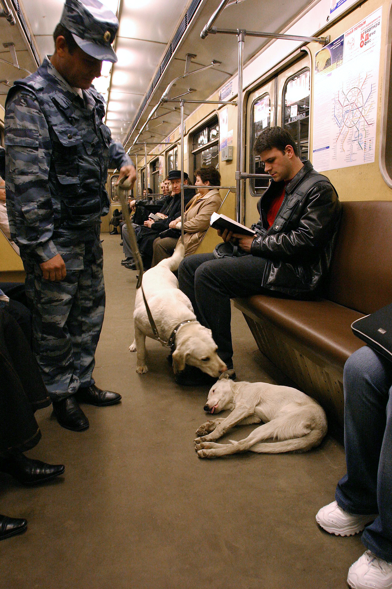 A police officer with a dog at a Moscow metro train. / Photo: Dmitry Korobeinikov/RIA Novosti