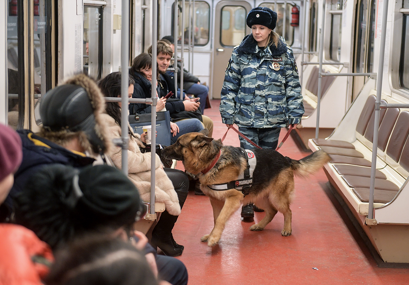 Moscow metro dog service center's employee patrols a train. / Photo: Grigoriy Sisoev/RIA Novosti