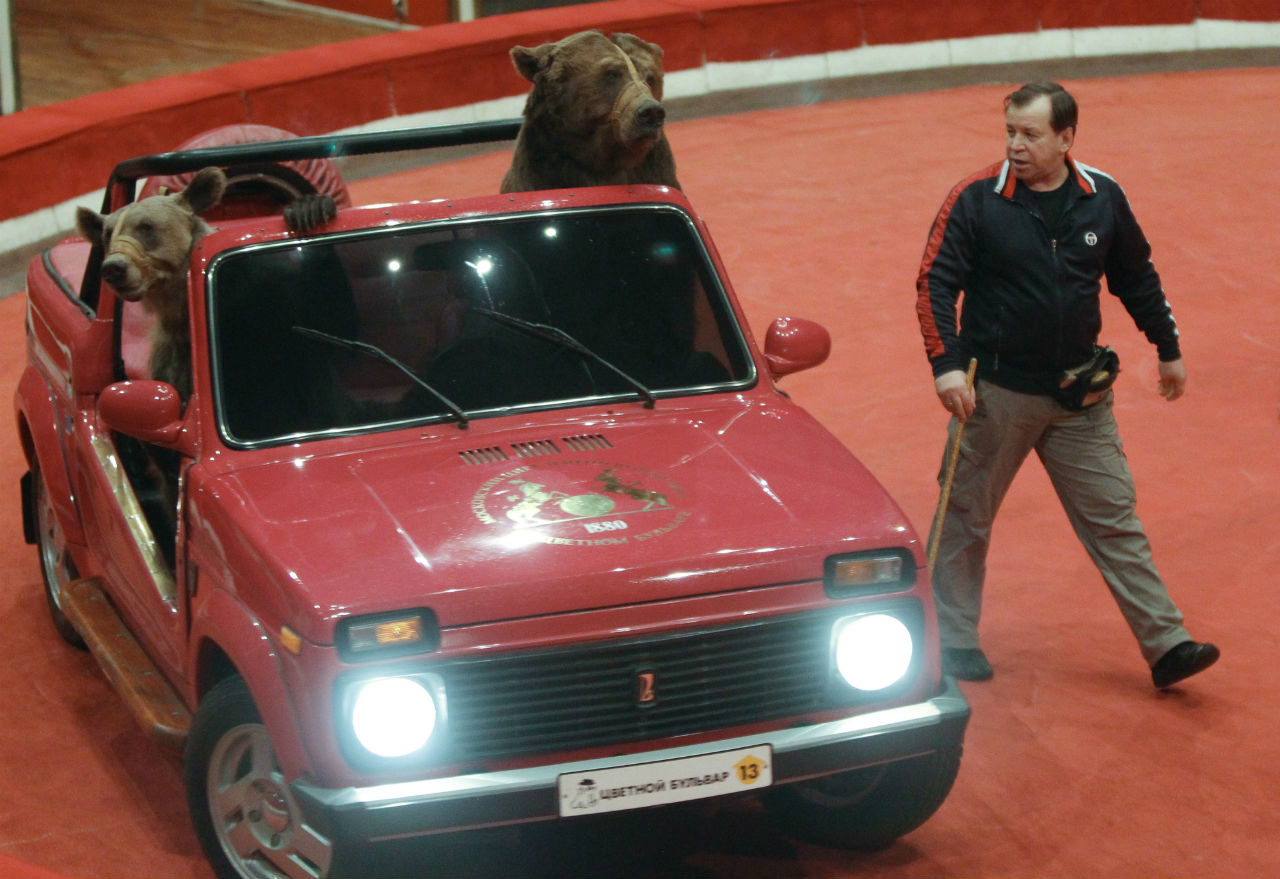 Russischer geht’s kaum: Ein Niva mit zwei Bären bei einem Auftritt im Moskauer Zirkus am Zwetnij Bulwar 2011. / Alexey Kudenko/RIA Novosti