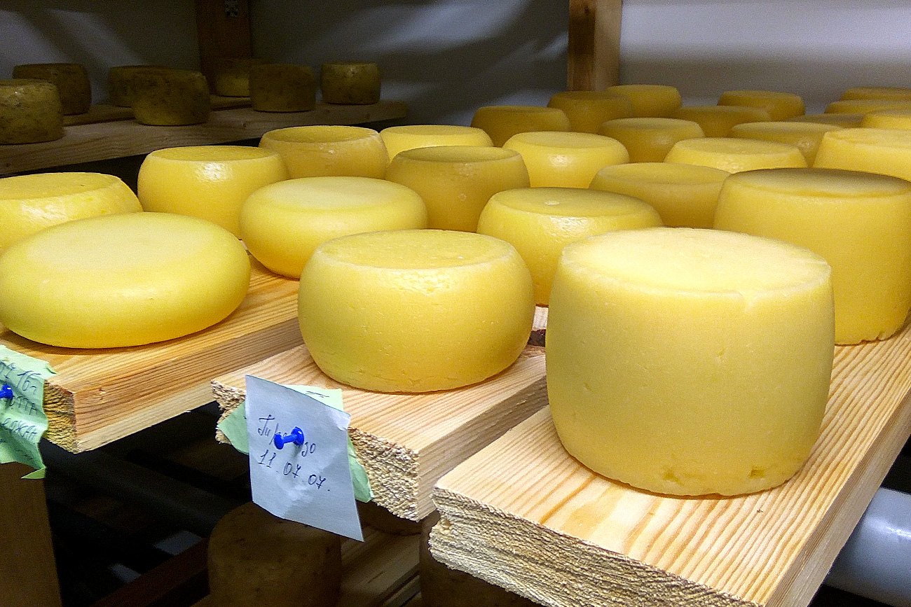I formaggi italiani prodotti nel nuovo caseificio nella Repubblica di Bashkortostan\n