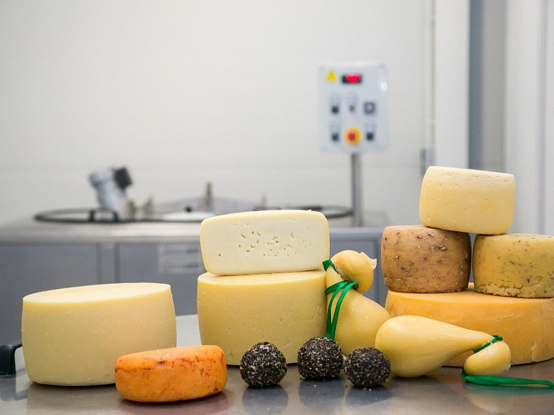 The family enterprise produces 16 types of Italian cheese. / Photo: Press service of the Head of Bashkortostan