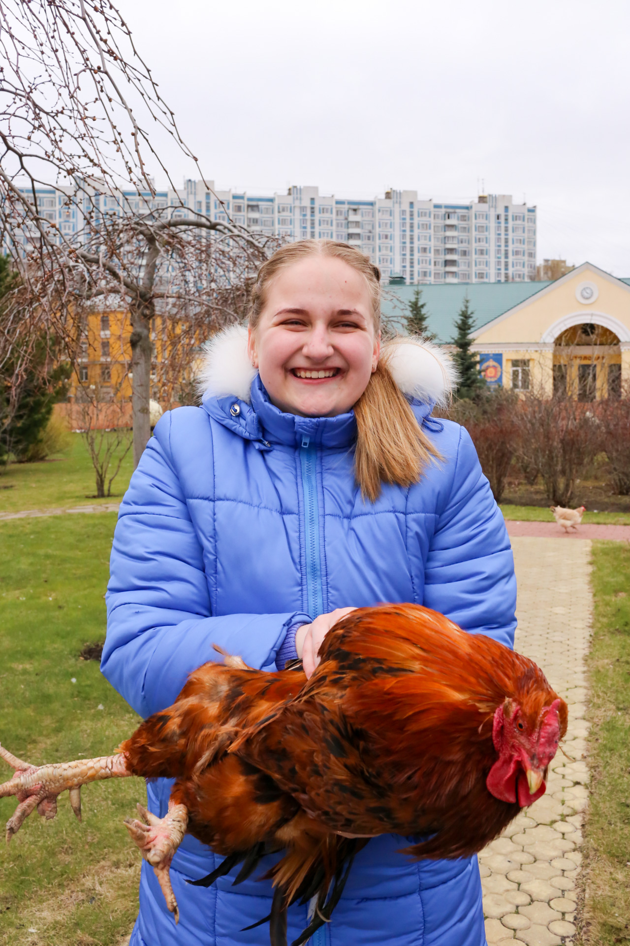 Only senior pupils are allowed to hold the rooster—the star of biology class. Katya Filatova of class 10A. / Photo: Olga Ivanova
