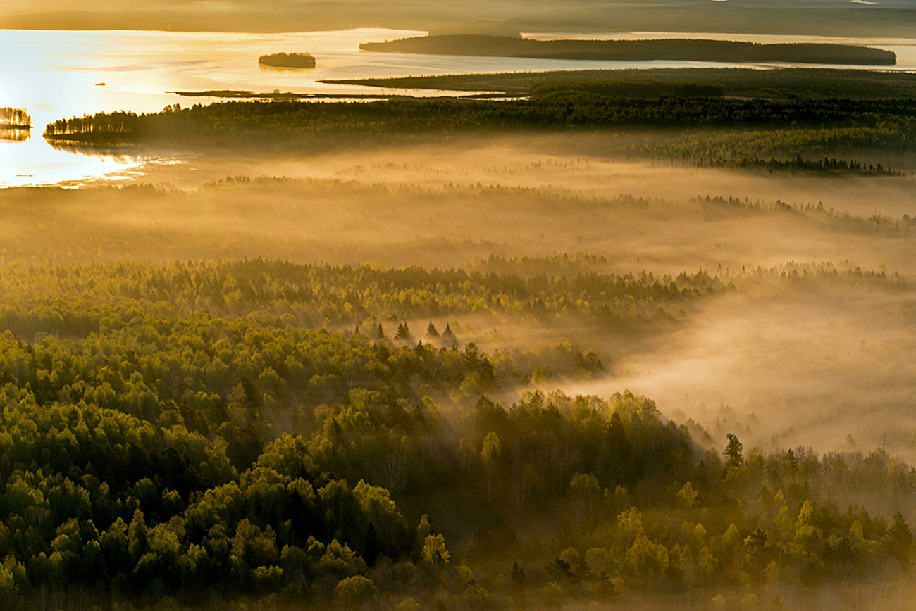 Taiga doesn't forgive any mistakes. Source: Sergey Fomin/Global Look Press