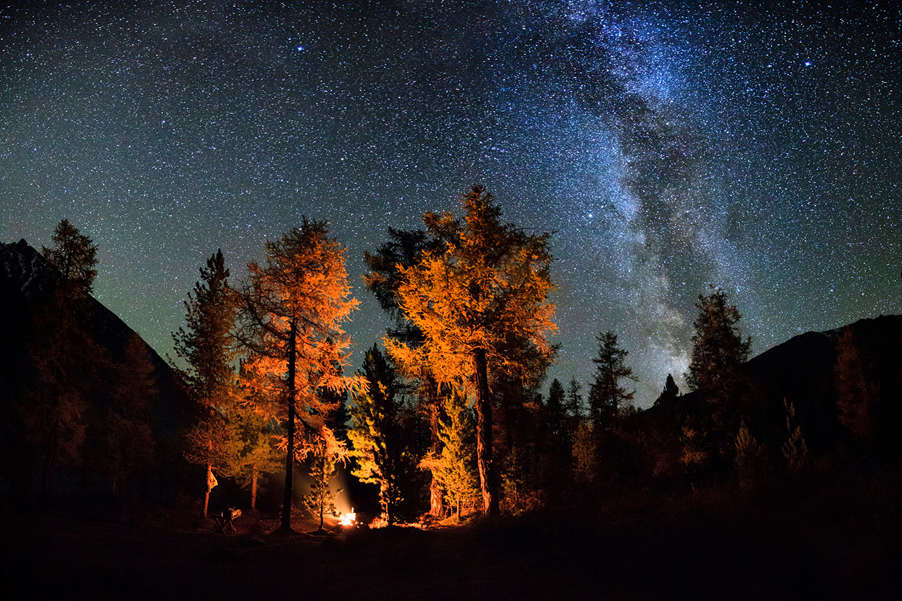 The night in the taiga may be extremely stressful. Source: Getty Images