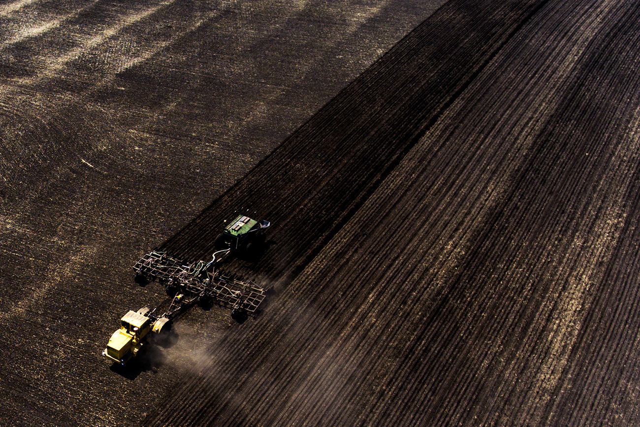 Colheita de grãos em fazenda na região de Novosibirsk (Foto: Kirill Kukhmar/TASS)