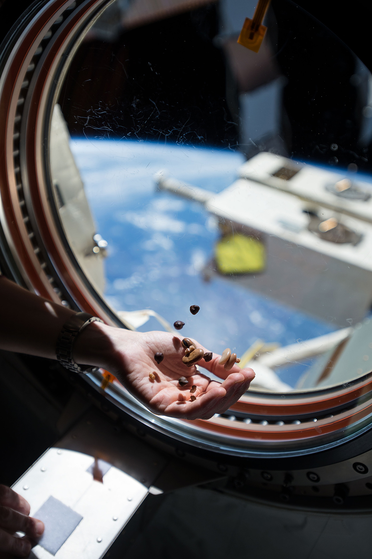 An astronaut aboard the ISS enjoys a weightless snack. / ZUMA Press/Global Look Press