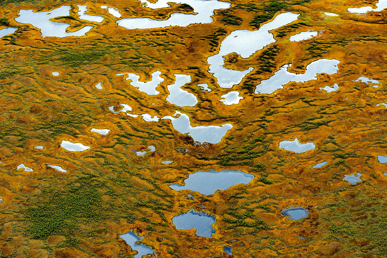 The Vasyugan Mire is the largest swamp in the northern hemisphere. / Serguei Fomine/Global Look Press