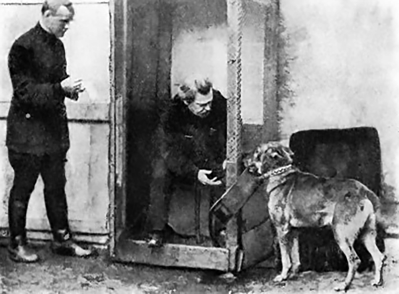 Bernard Kajinski realizou experimento com cães (Foto: Arquivo)