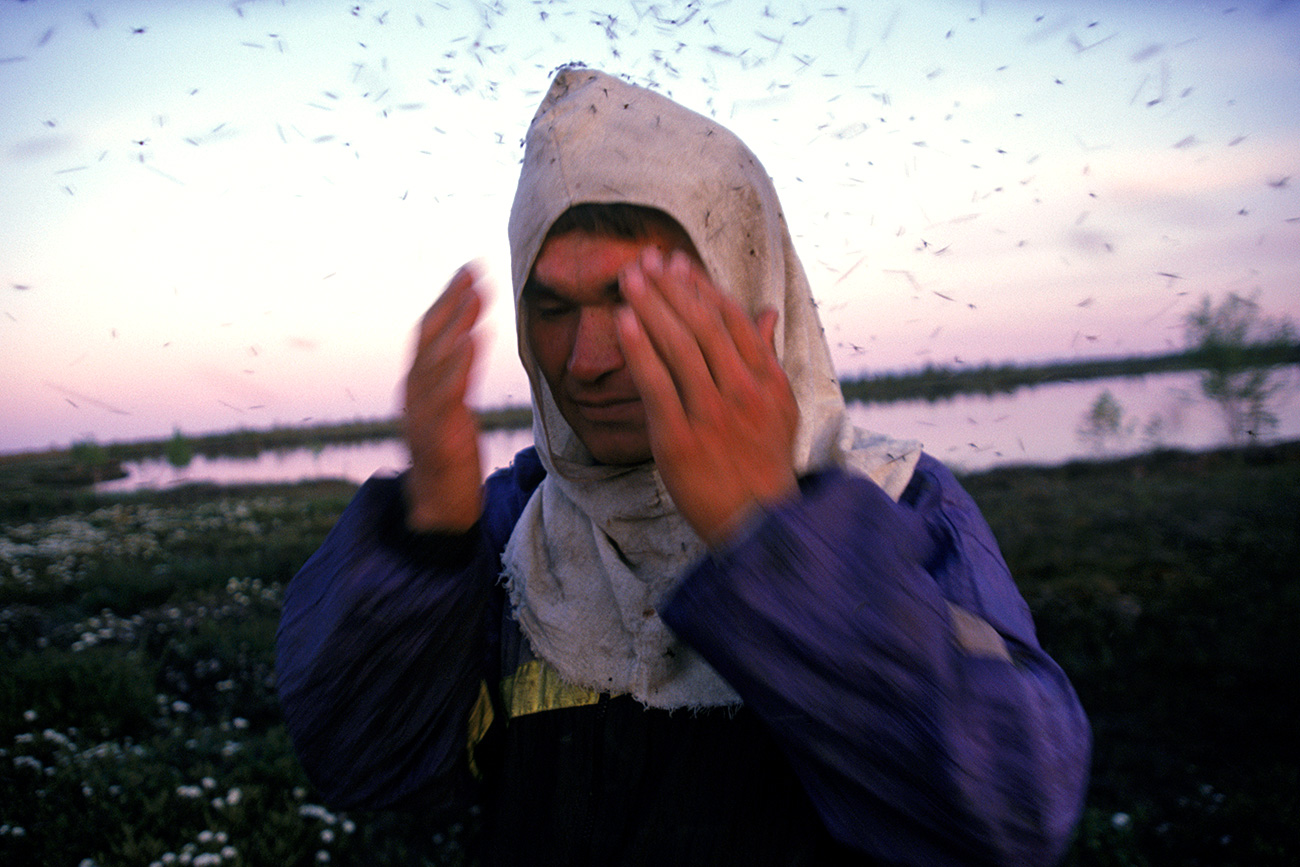 A man swiping away mosquitoes from his face, Siberia. / Getty Images