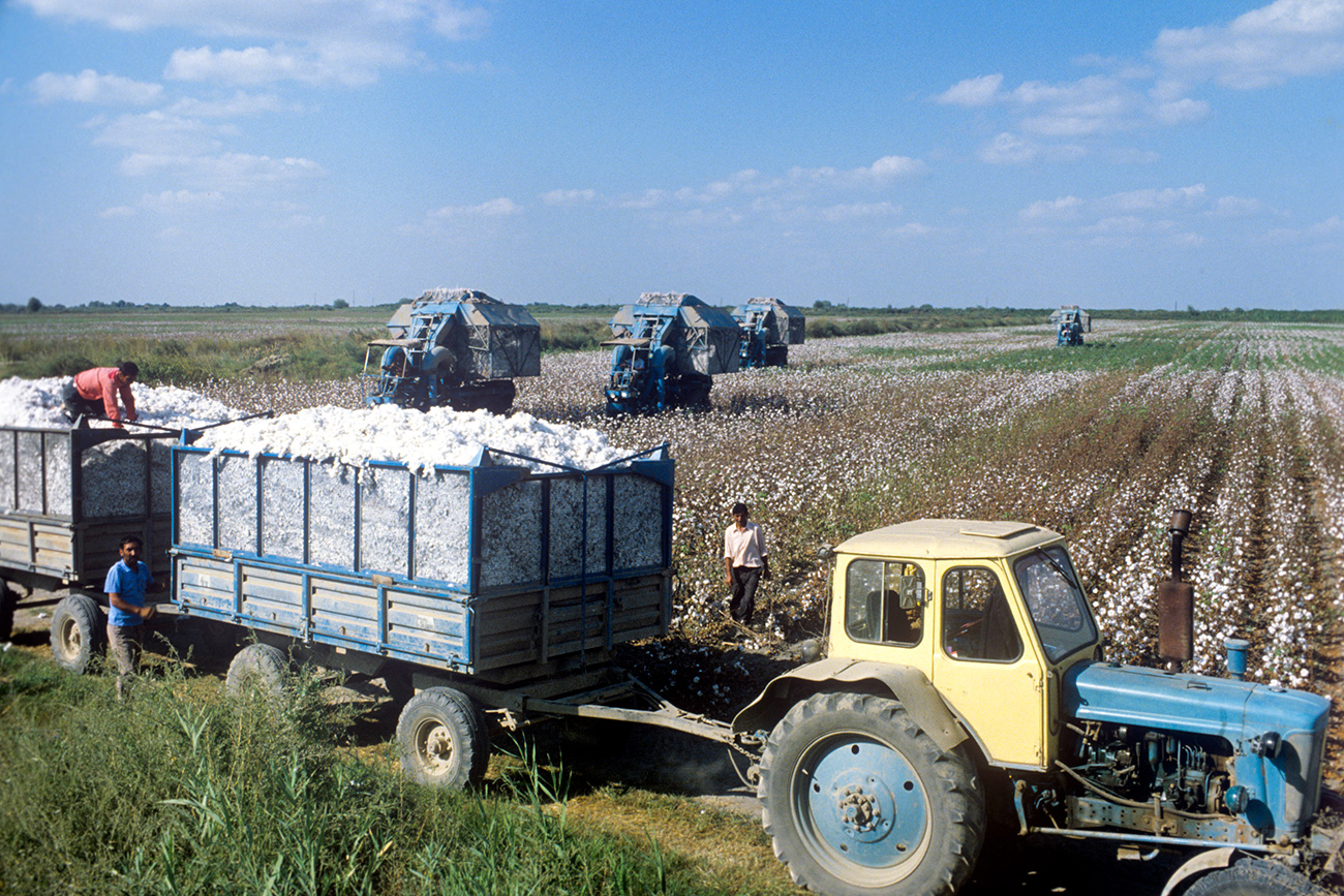 Aserbaidschan, August 1979 / V. Kalinin/RIA Novosti