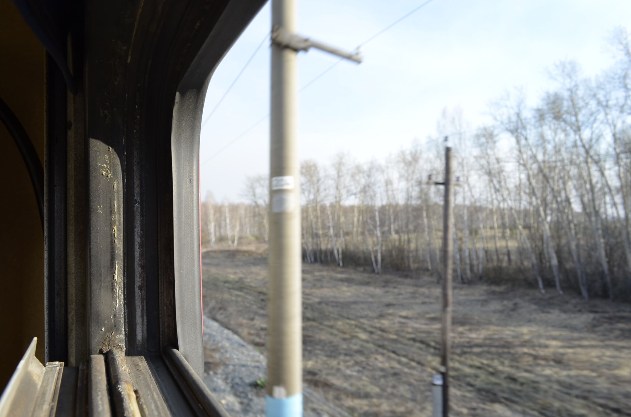 Гледам како врви светот... Всушност, колку подалеку патувате на исток, толку повисоки се брезите кои го блокираат погледот. Извор: Лична архива