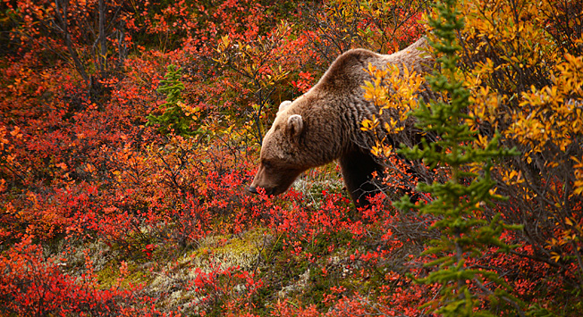 Foto: Shutterstock/Legion Media