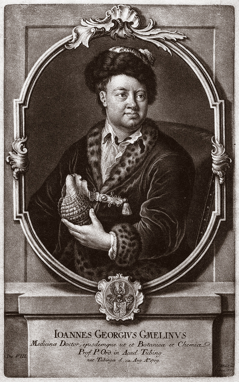 Der Naturwissenschaftler Johann Georg Gmelin. Foto: Pressebild