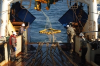 One of the most intense moments in the modern commercial fishing is that when the cod end (the end part of the trawl) appears on the sea surface pulled up by ropes. Source: Andrei Shapran