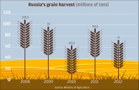 Infographic: Russia's grain harvest