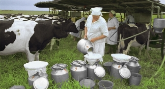 Success Stories in Russia