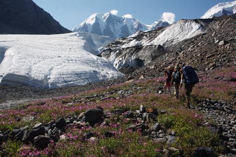 Altai