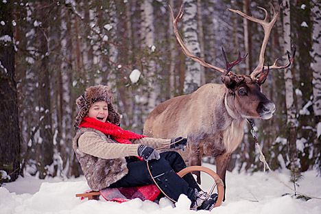 Reindeer farm outside of Moscow looks to expand beyond Santa season