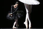 Stage sensation: British ballet wows Moscow
