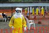 Russian scientists develop experimental vaccine against Ebola virus 