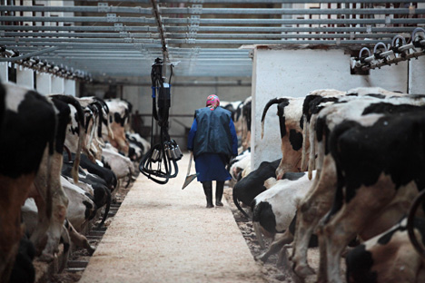 Russian dairy technology targets EU farms