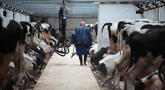 Milking Europe: Russian dairy technology targets EU farms