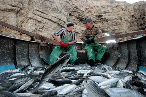 Russian fishing industry witnesses stable growth