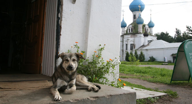 Service culture, dog meat and Christianity: A Filipino perspective on Russian life