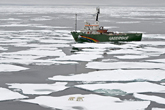 Detained crew of Greenpeace icebreaker to be prosecuted