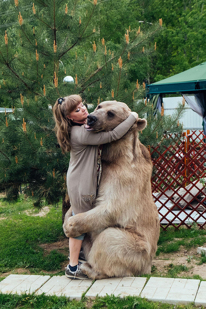 L&#39orso Stepan con la sua famiglia