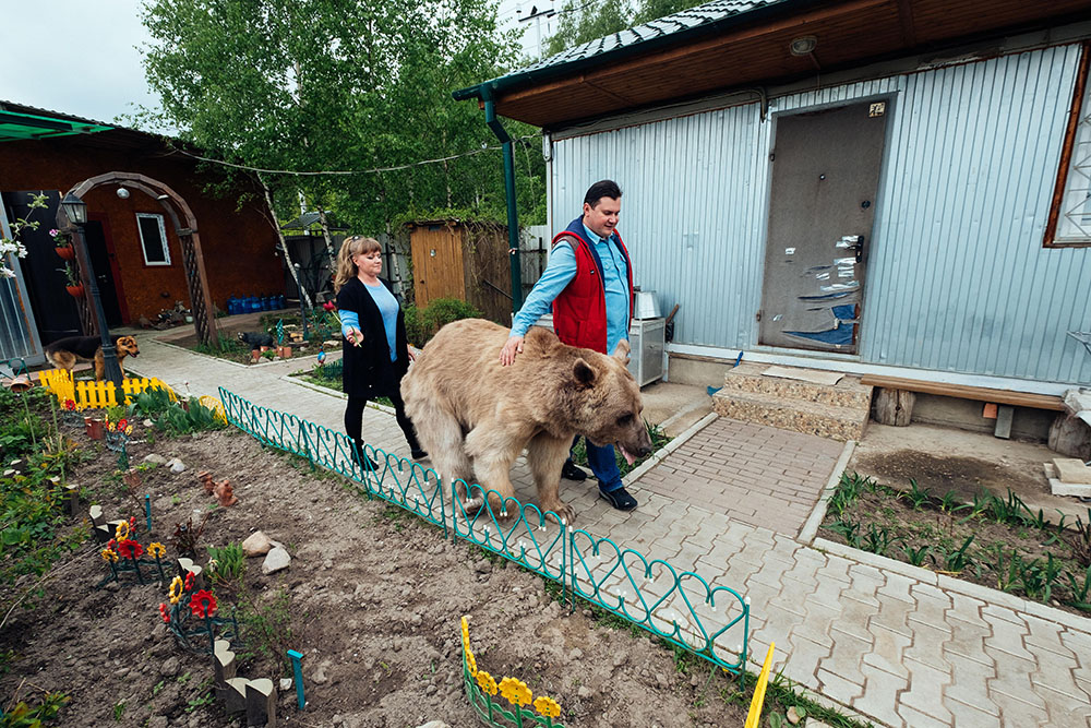 L&#39orso Stepan con la sua famiglia