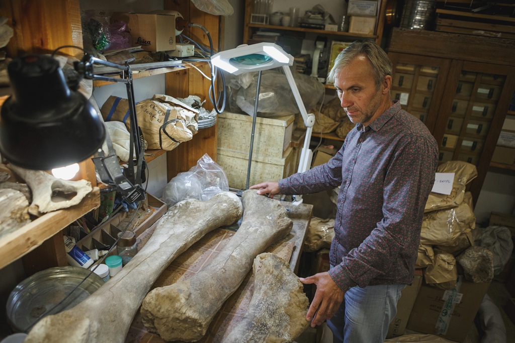Ces parties du squelette sont probablement rest&eacute;es enfouies pendant 25 &agrave; 30 000 ans.n