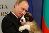 Vladimir Poutine avec un chien 