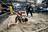  free-fight 