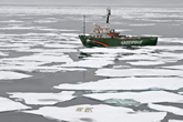  Greenpeace Arctic Sunrise 