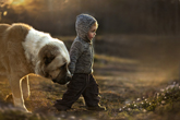  enfant et chien 