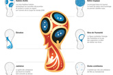  symbole de la Coupe du monde 2018 