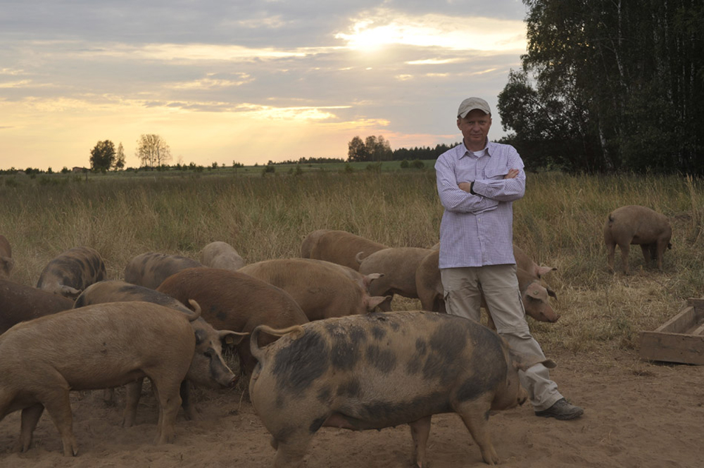 cow farm tour near me