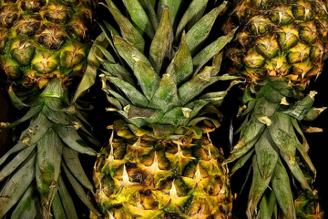 Nanas Makanan Orang Kaya  di Rusia Russia Beyond