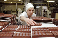chocolate