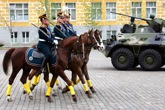 пустым не оставлять!!