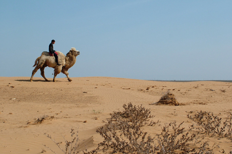 The steppes of Astrakhan - Russia Beyond