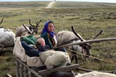 Reindeer farm looks to expand beyond Santa season