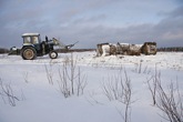 пустым не оставлять!!