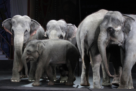 サーカス ロシア ビヨンド