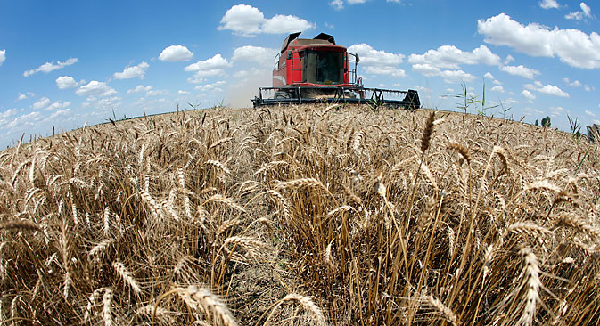 
Russian wheat likely to regain market share in Asia