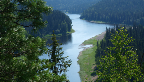 우랄 산맥 서편에 위치한 러시아 코미 공화국에는 유럽에서 가장 넓은 숲이 펼쳐져 있다. (사진제공=로리/레기언 메디아)