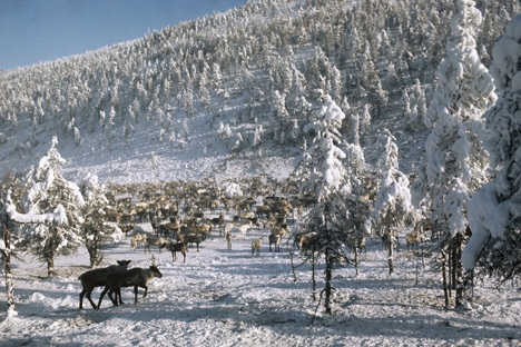 Kältepol Russland Kältepol Russland
